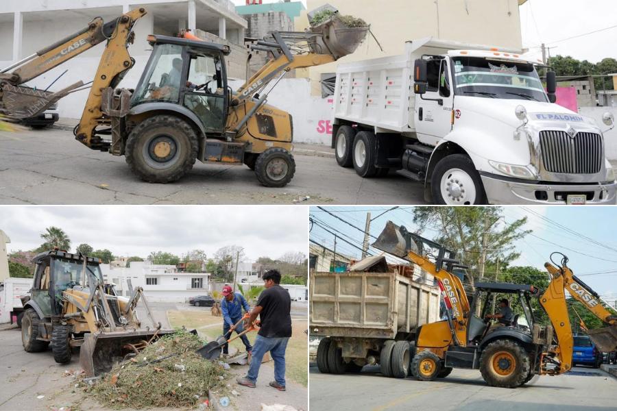 incremento de casos de dengue en Tampico
