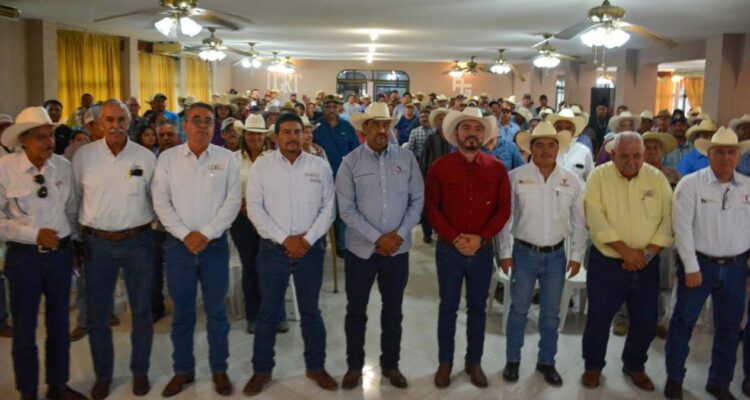 mejoramiento genético 2025 en gonzález