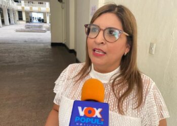 mercado de bonos de carbono en Tamaulipas
