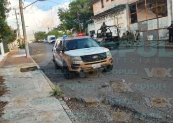 mujer atacada por perros en ciudad victoria