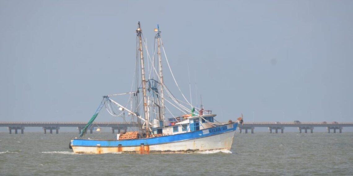 pescadores de camarón de Tamaulipas