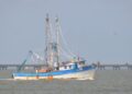 pescadores de camarón de Tamaulipas