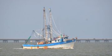 pescadores de camarón de Tamaulipas