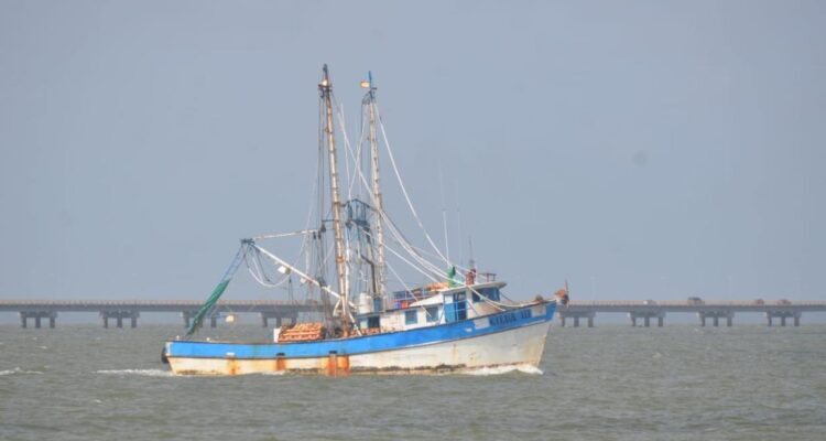 pescadores de camarón de Tamaulipas
