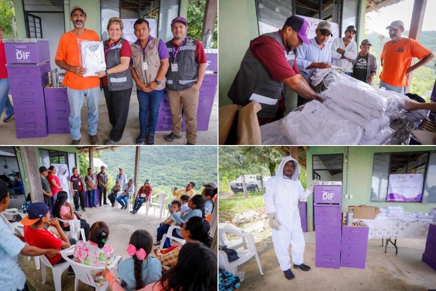 producción sostenible de miel en tamaulipas