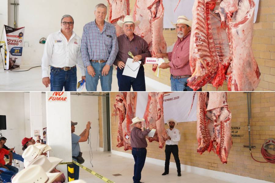 programa novillo gordo en nuevo laredo