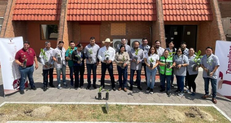 reforestación de áreas verdes en Tamaulipas