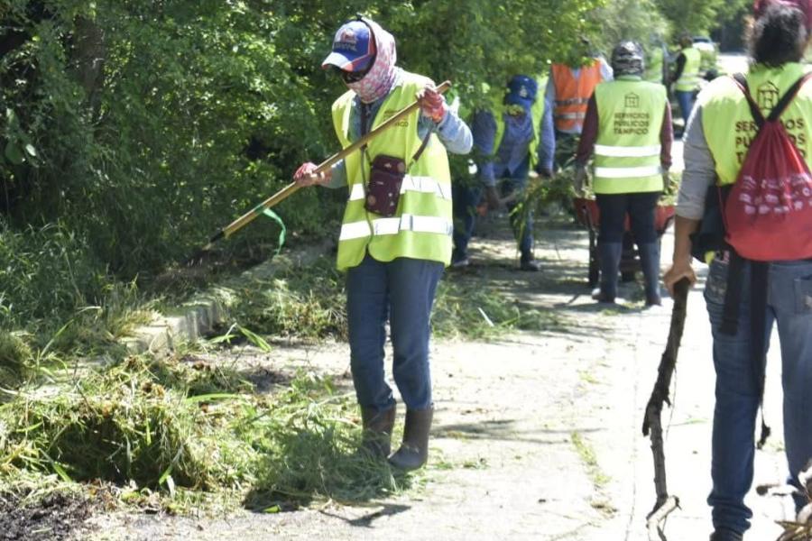 seguridad social para trabajadores en tampico