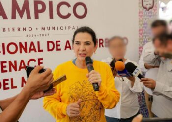 seguridad social para trabajadores en tampico