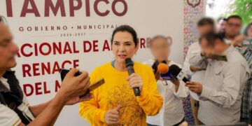 seguridad social para trabajadores en tampico