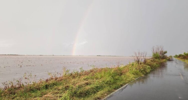 sequía al norte de Tamaulipas