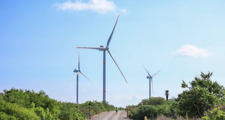 tamaulipas como productor de energía eólica