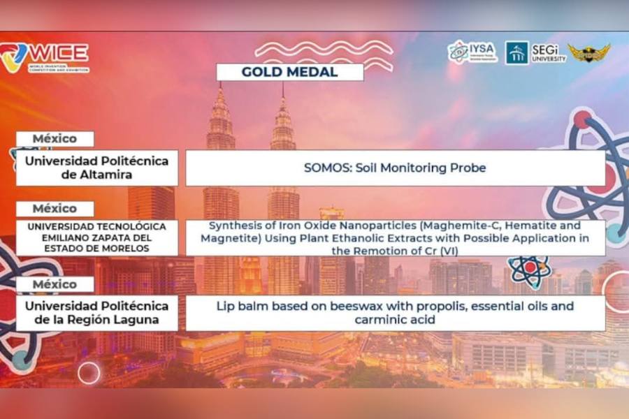 tamaulipas en wice 2025