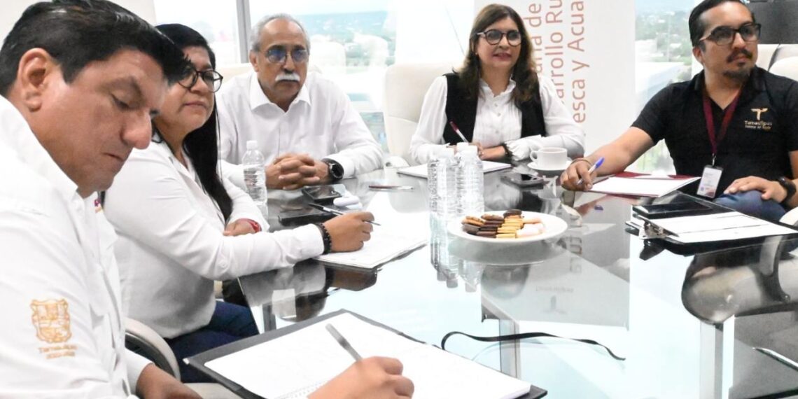 tecnología ambiental en Tamaulipas