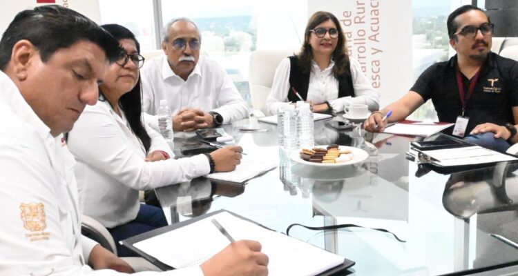tecnología ambiental en Tamaulipas
