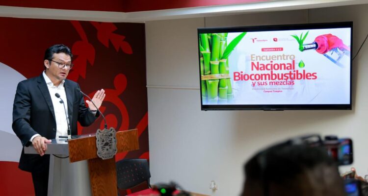 transición energética en Tamaulipas