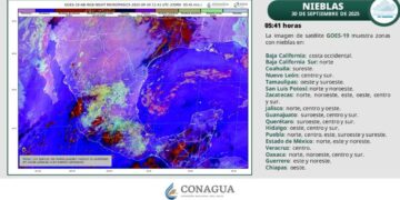 ¿Calor y vientos fuertes en Tamaulipas? Así estará el clima