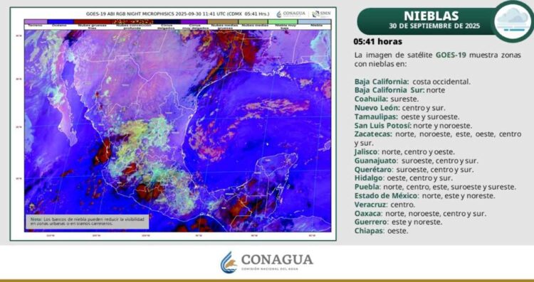 ¿Calor y vientos fuertes en Tamaulipas? Así estará el clima