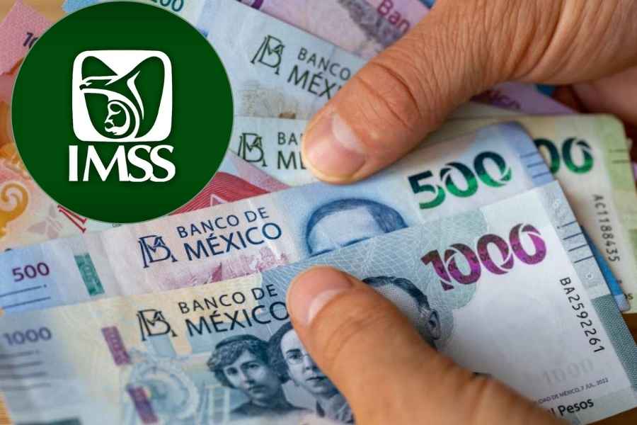 ¿Estás recibiendo pensión por viudez del IMSS Esto es lo que debes saber sobre el aguinaldo en 2025
