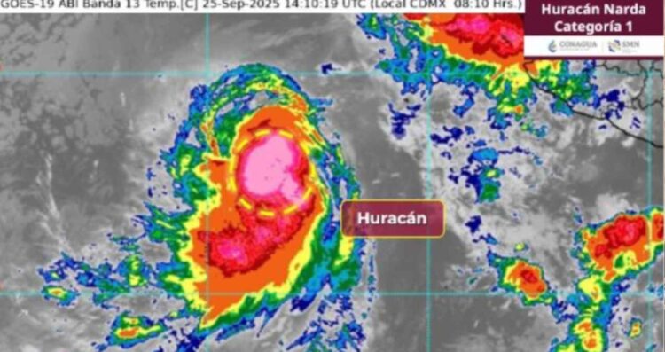 ¿Qué día se podría convertir el Huracán Narda en categoría 2 y dónde dejará afectaciones?