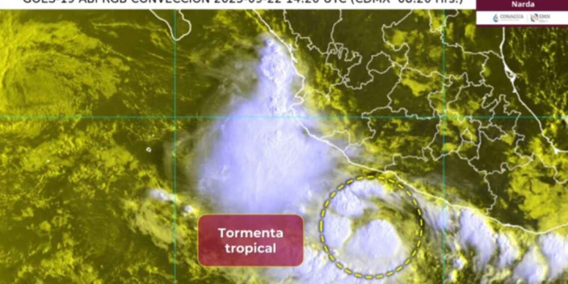 ¿Qué estados se verán afectados con lluvias por la Tormenta Tropical Narda?