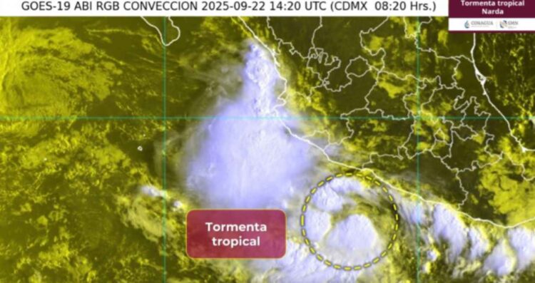 ¿Qué estados se verán afectados con lluvias por la Tormenta Tropical Narda?