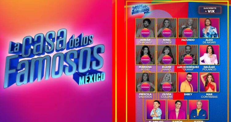 ¿Qué participantes llegarán a la final de La Casa de los Famosos México