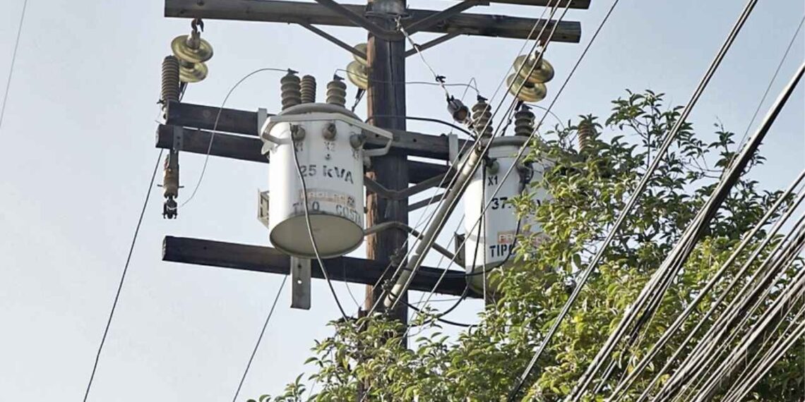 ¿Quieres podar un árbol cerca del cable de luz Esto es lo que debes hacer