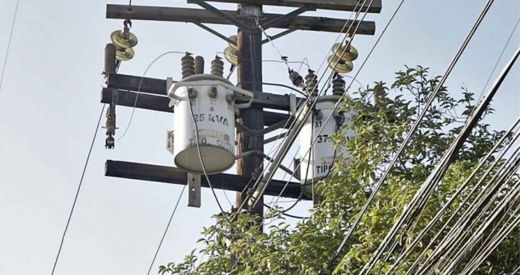 ¿Quieres podar un árbol cerca del cable de luz Esto es lo que debes hacer