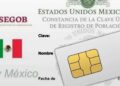 ¿Te pedirán la CURP para adquirir una SIM Así cambiará la compra de teléfonos