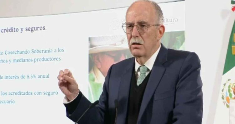 Acuerda Gobierno Federal crear sistema para regular precios del maíz en México