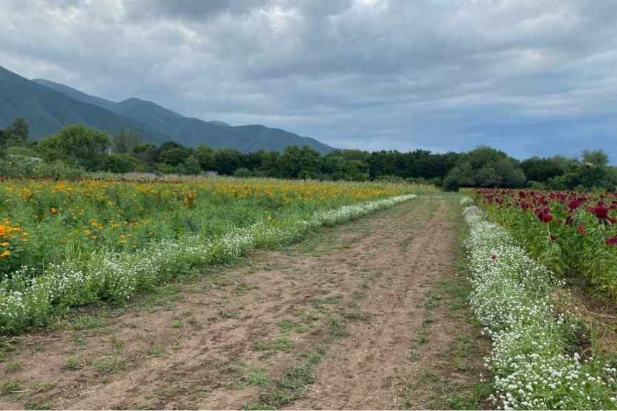 Antonio Varela, secretario de Desarrollo Rural, alerta sobre contaminación en el campo tamaulipeco