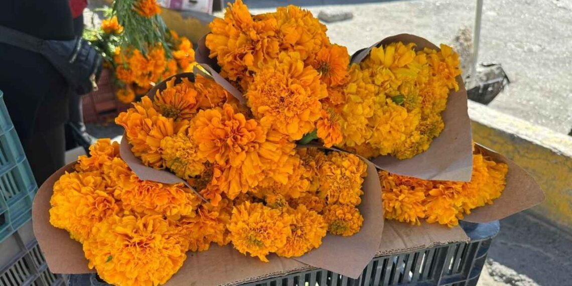 Arranca en Matamoros, Tamaulipas, la venta del cempasúchil, símbolo del Día de Muertos