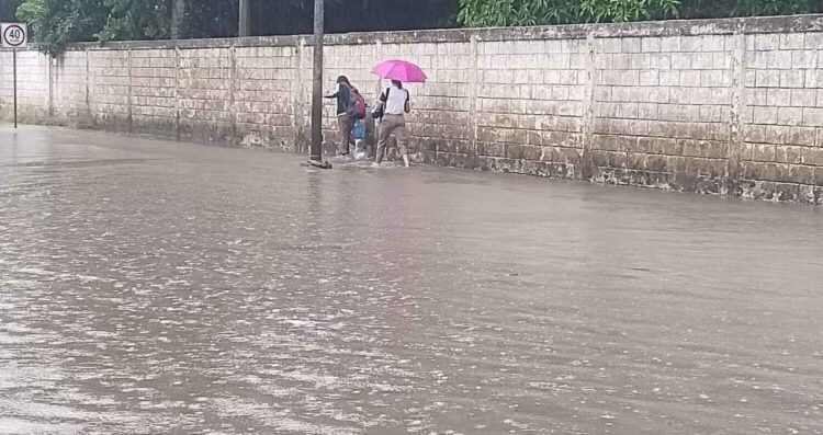 afectaciones lluvias Ciudad Madero