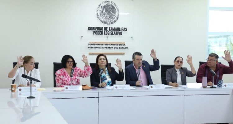 Auditoría pública 2025 Tamaulipas