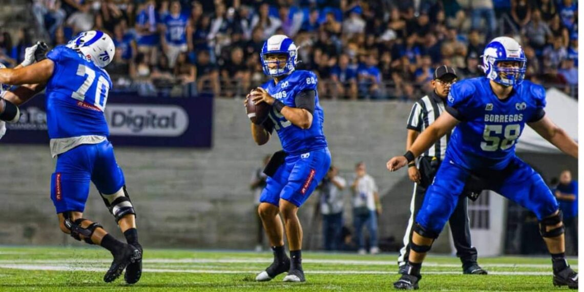 Borregos Tec Monterrey