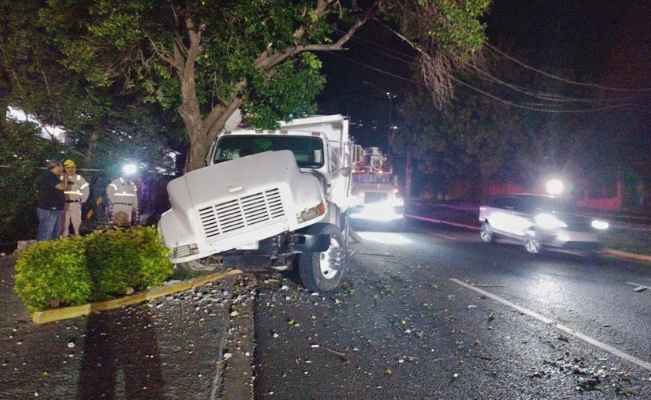 Camión de volteo derriba varios postes y choca con árbol tras quedarse sin frenos en San Pedro, NL