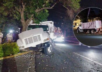 Camión de volteo derriba varios postes y choca con árbol tras quedarse sin frenos en San Pedro, NL
