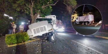 Camión de volteo derriba varios postes y choca con árbol tras quedarse sin frenos en San Pedro, NL