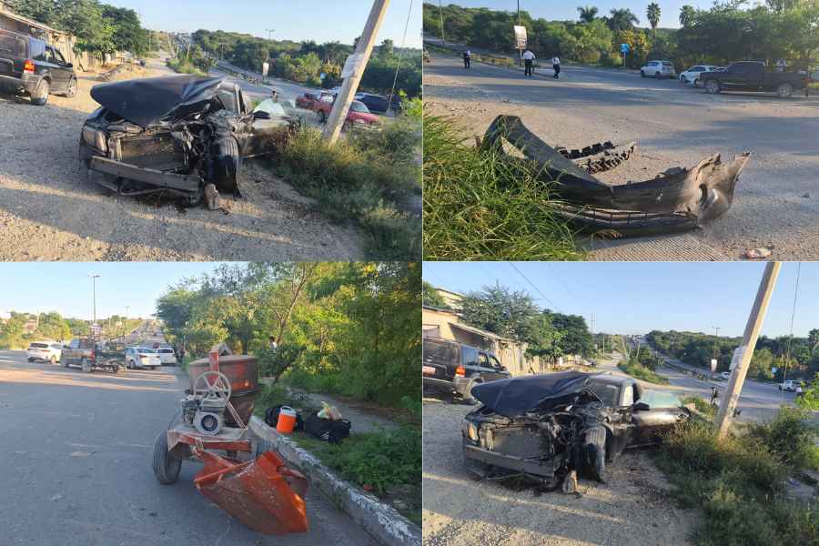 Choca revolvedora en Victoria