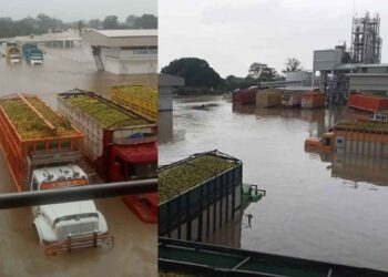 Choferes atrapados en Tuxpan