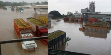 Choferes atrapados en Tuxpan