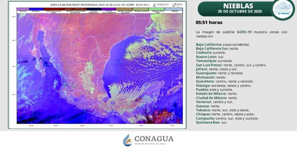 Clima en Tamaulipas: ¿Evento de “Norte” provocará vientos fuertes y descenso de temperatura?