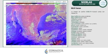 Clima en Tamaulipas: ¿Evento de “Norte” provocará vientos fuertes y descenso de temperatura?