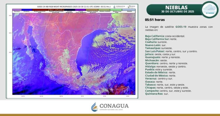 Clima en Tamaulipas: ¿Evento de “Norte” provocará vientos fuertes y descenso de temperatura?