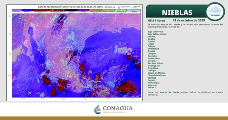 Clima en Tamaulipas: ¿Habrá lluvias puntuales o máximas superiores a 30 grados?
