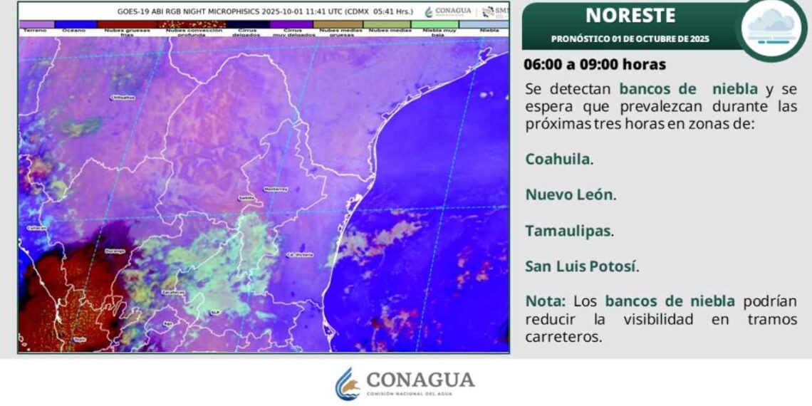 Clima en Tamaulipas: ¿Se esperan lluvias fuertes o temperaturas de hasta 35 grados?