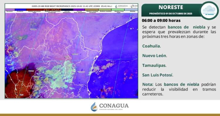 Clima en Tamaulipas: ¿Se esperan lluvias fuertes o temperaturas de hasta 35 grados?