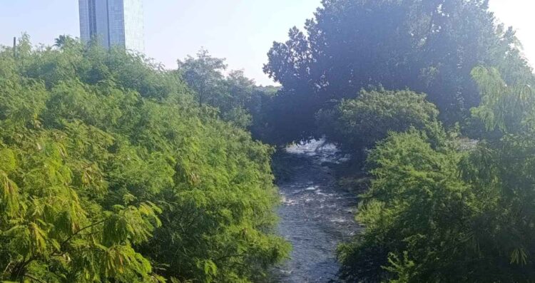 Después de meses seco, el río San Marcos recupera su cauce en Ciudad Victoria, Tamaulipas