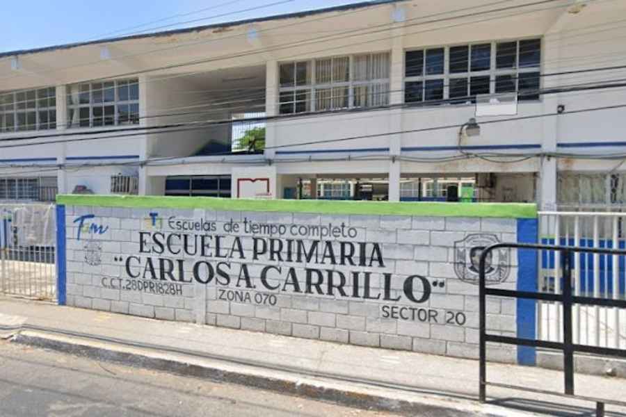 Tampico virus Coxsackie